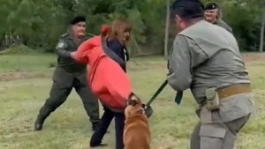 Video: Patricia Bullrich fue atacada por un perro de seguridad durante una demostración