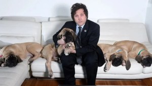 Tras las dudas, un exministro habló de los perros de Javier Milei: «Los escuché…»