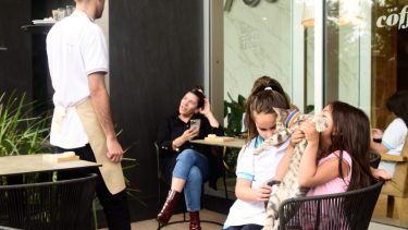 Son las infancias quienes más disfrutan de salir a tomar algo con sus animalitos. (FOTO: Cecilia Maletti)