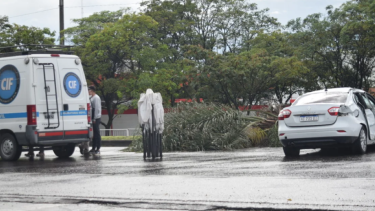 Tres personas murieron luego de ser embestidas por un auto a gran velocidad, en Salta. Foto: Gentileza El Tribuno. 