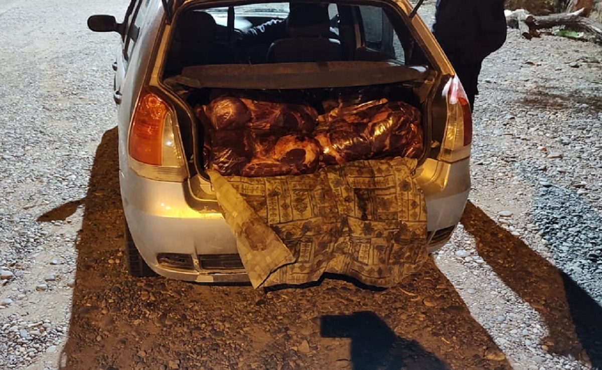 Transportaban 150 kilos de carne de caballo de manera ilegal: lo detuvieron en Puente Dique. Foto: gentileza