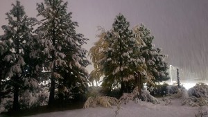 Así está nevando en Caviahue: el amanecer que los turistas no olvidarán en este paraíso de la Patagonia
