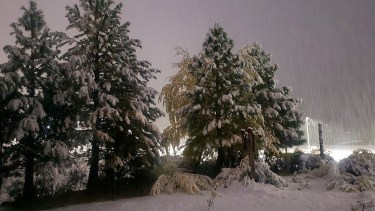 Así está nevando en Caviahue: el amanecer que los turistas no olvidarán en este paraíso de la Patagonia