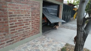 Entraron a robar a una casa en Cipolletti y se llevaron hasta las cámaras de seguridad