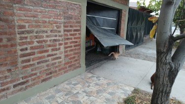 Entraron a robar a una casa en Cipolletti y se llevaron hasta las cámaras de seguridad. Foto: gentileza