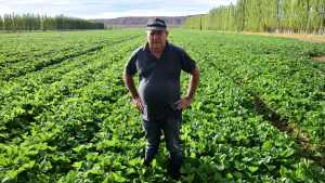 Vivero exportador en Neuquén: la empresa líder que nació como una alternativa a la fruticultura