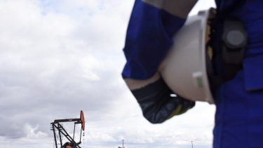 Pese a su menor producción, el convencional demanda una gran mano de obra. Foto: Flor Salto