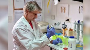 El Conicet desarrolló una fórmula pediculicida basada en compuestos vegetales