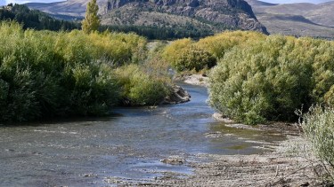El predio comprende nueve hectáreas en la desembocadura del Río Ñirihuau. Foto: Chino Leiva 