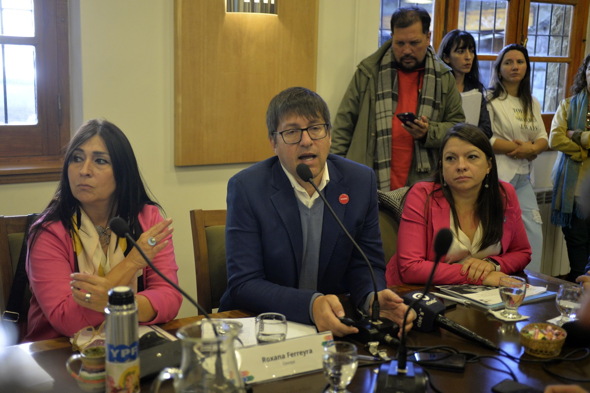 El Concejo de Bariloche recibió un crudo informe sobre la situación en ...
