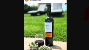 ¿Qué hace tan especial al Malbec que conquistó a Britney Spears?