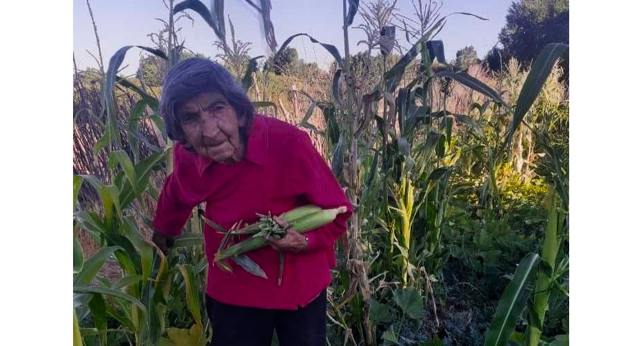  Carmelina, a pesar de la edad y los achaques, sigue queriendo agacharse para atender a sus plantas. Foto: Gentileza. 