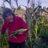 Imagen de Guardiana de semillas: con 85 años Carmelina aún cuida su huerta en Covunco Abajo