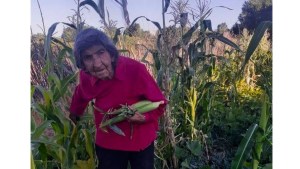 Guardiana de semillas: con 85 años Carmelina aún cuida su huerta en Covunco Abajo