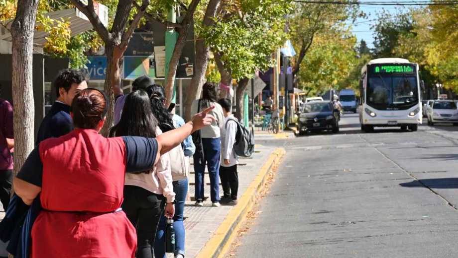 Pehuenche cubre el corredor entre Campo Grande y Cipolletti desde 2011. (Foto: Salto)