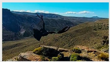 “Ella pertenece a ese lugar. Gracias a que se la rescató, se le pudo dar esta segunda oportunidad", valoró Lina Zavala, una de las profesionales que intervino. Foto: Gentileza Temaikén.