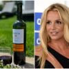 Imagen de ¿Qué dijo la bodega que embotella el vino que bebió Britney Spears?