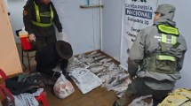 Imagen de Fauna secuestró 49 ejemplares de trucha arcoíris y las donó a un comedor, en Junín de los Andes