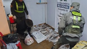 Fauna secuestró 49 ejemplares de trucha arcoíris y las donó a un comedor, en Junín de los Andes
