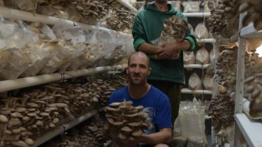 Eric Dambrauskas y Franco Larrine, llevan adelante un emprendimiento en el oeste de Bariloche. Foto: gentileza