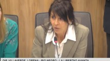 Imagen de Diputados piden apartar a Lorena Villaverde de la comisión de Energía y removerla de su banca