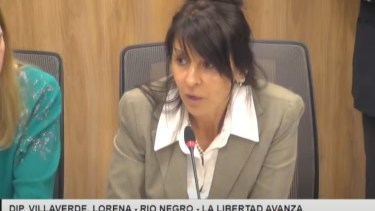 Diputados piden apartar a Lorena Villaverde de la comisión de Energía y removerla de su banca