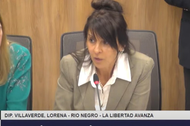 La diputada or Río Negro Lorena Villaverde preside la comisión de Energía. Piden su remoción. Archivo