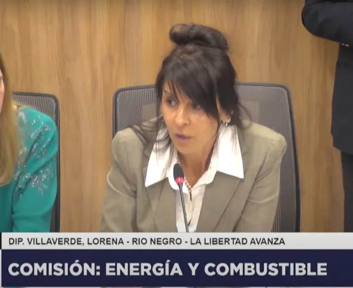 Villaverde destacó la fuerte presencia patagónica en la Comisión de Energía de Diputados.