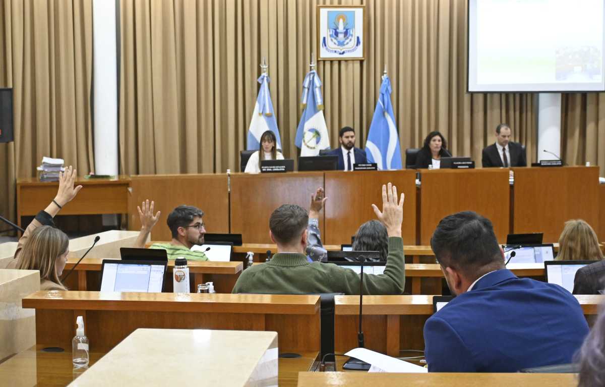 Por mayoría, se negó el uso de la banca de la ciudadanía en el Deliberante de Neuquén (foto Florencia Salto)