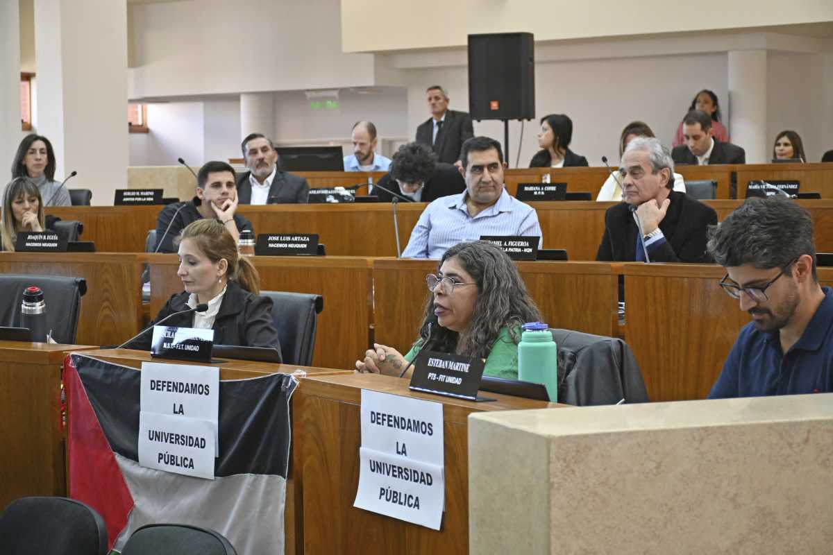 EL debate en el Deliberante llegó tras dos horas de sesión y llevó 2 horas hasta que se votó la negativa a la Audiencia (foto Florencia Salto) 