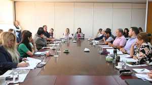 Diputados dieron el primer paso para el nuevo sistema de residencias médicas en Neuquén