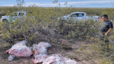 Escondieron más de 600 kilos de carne cerca de Catriel para evitar el control de sanidad, los descubrieron. Foto: gentileza