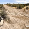 Imagen de Masacre de pingüinos en Punta Tombo: paso histórico, elevan la causa a juicio oral en Chubut