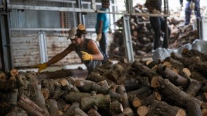 En Río Negro comenzó el acopio de leña para el Plan Calor 2024