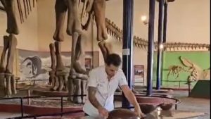 25 kilos de chocolate para emular al dinosaurio más grande hallado en Plaza Huincul