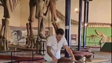 Demandó cuatro días la elaboración del dino (Foto: captura de video)