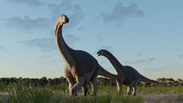 Científicos del Conicet descubren un nuevo Tiranosaurio que vivió en la Patagonia hace 66 millones de años