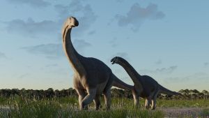 Científicos del Conicet descubren un nuevo Tiranosaurio que vivió en la Patagonia hace 66 millones de años