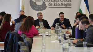 En Río Negro se demora la modificación del Código Procesal Penal