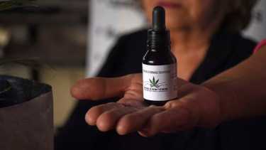 El Cannabis Medicinal alivia el dolor crónico, la epilepsia y la ansiedad. Foto: Andrés Maripe. 