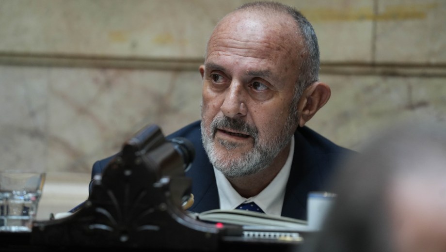 Sergio Capozzi es diputado nacional por el PRO de Río Negro desde 2023. Integra siete comisiones. Archivo