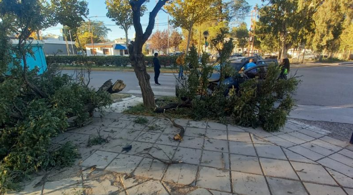 La mujer impactó con un árbol de una plaza. Foto: https://chanardigital.com.ar/