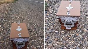 Encontraron un féretro en la Autovía Norte de Neuquén: qué se sabe
