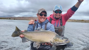 Así pescan estas truchas gigantes en el Limay Medio, meca de los pescadores en la Patagonia
