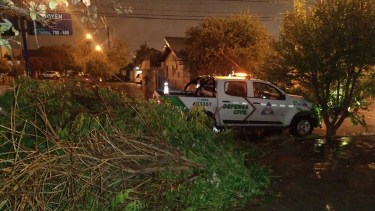 Hubo caída de árboles durante el fuerte temporal de viento.