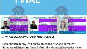 Masivo robo de datos a las licencias de conducir del país: el mensaje de los hackers para Milei