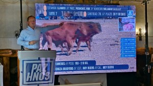 El campo de Neuquén se reúne en Junín de los Andes para un nuevo remate de invernada