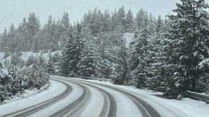 Llegó la nieve a Bariloche y piden «extrema precaución» en la Ruta 40 y 23: cerraron el Paso Samoré