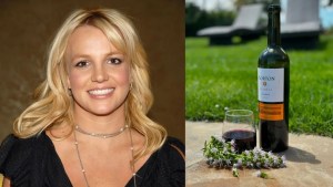 Britney Spears declaró su amor por un vino argentino y causó furor en redes: «Jesús»
