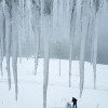 Imagen de Fueron a una joya de la Patagonia, la nieve tapó la ruta y no se pueden ir: «Este lugar es hermoso»